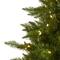 9ft. Pre-Lit Vermont Spruce Artificial Christmas Tree, Warm White LED Lights
